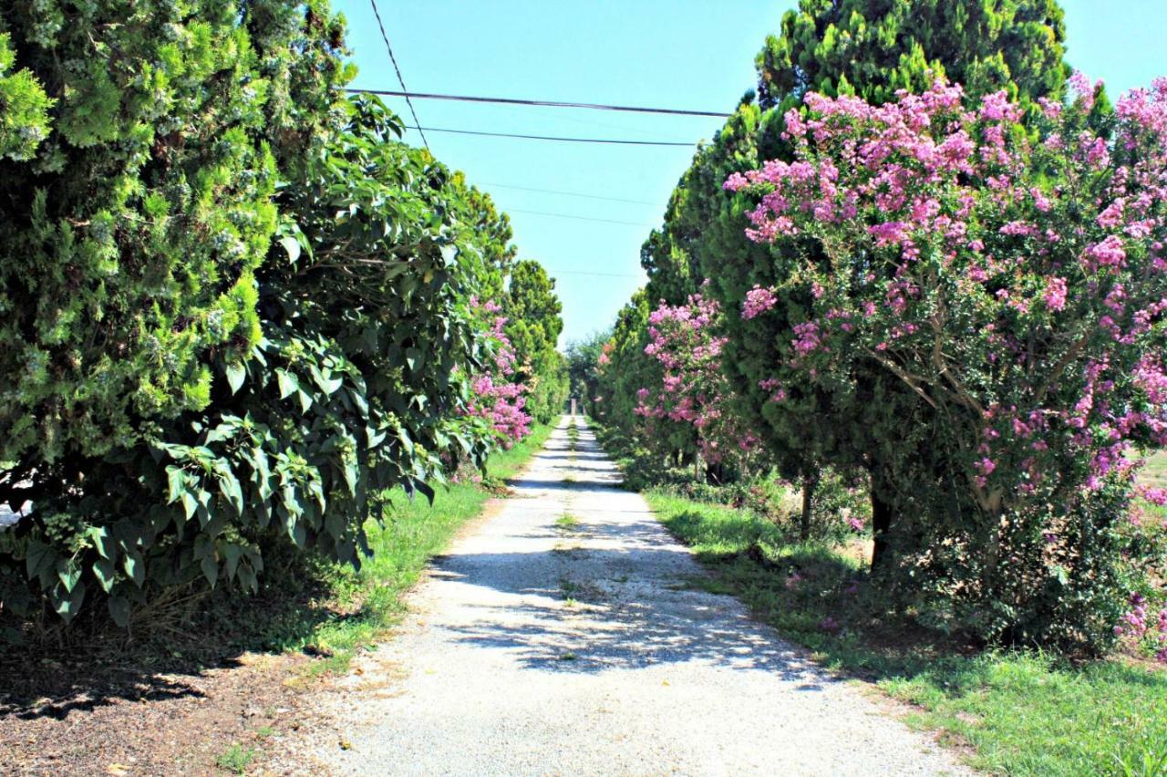 B&B Villa Paolida, Aceto Balsamico & Acetaia Antica Nonantola Exterior photo